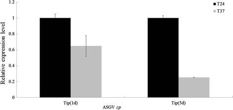 Fig. 7