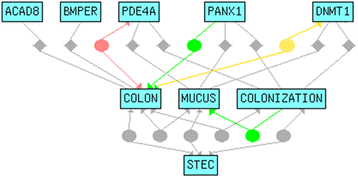 Fig. 6