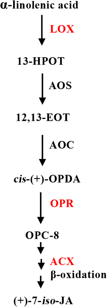 Fig. 5