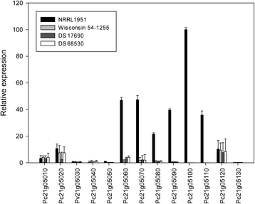 Fig. 4