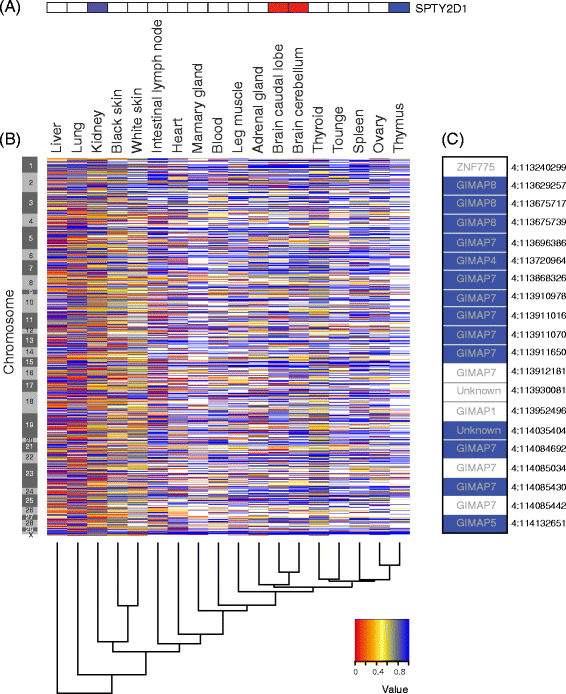 Fig. 6