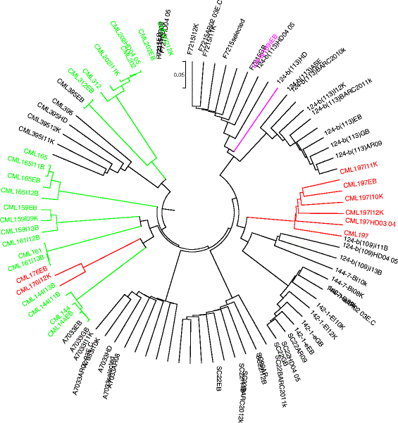 Fig. 4