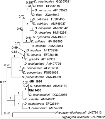 Fig. 2