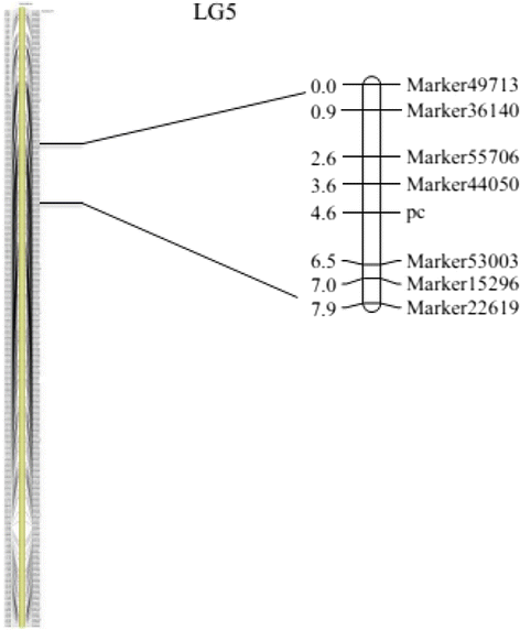 Fig. 5