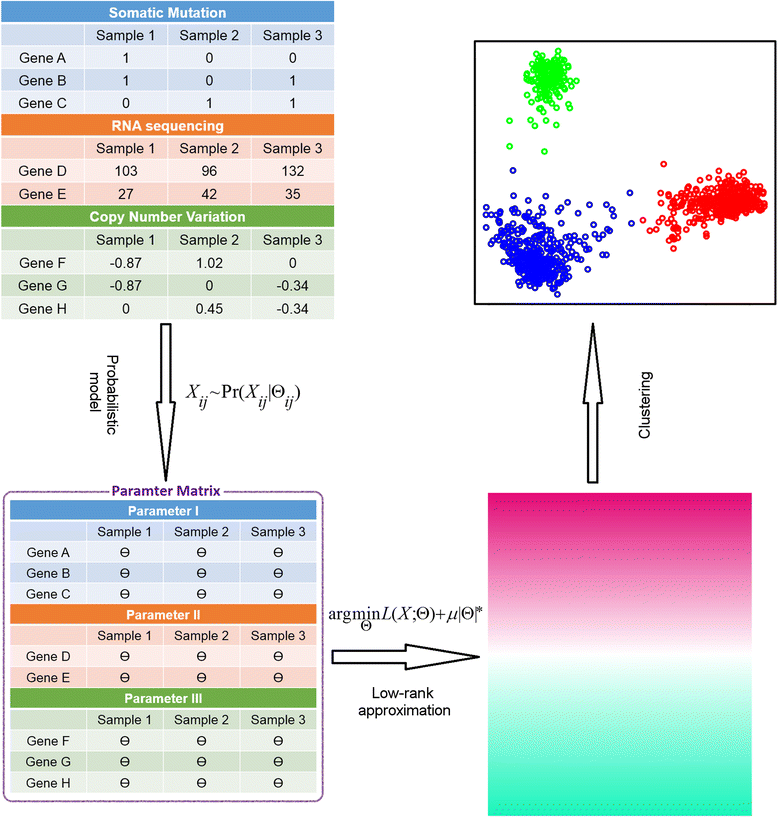 Fig. 1