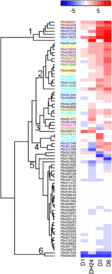 Fig. 4