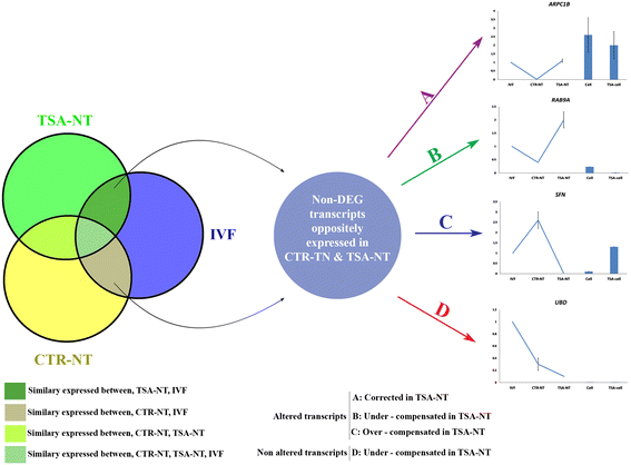 Fig. 10