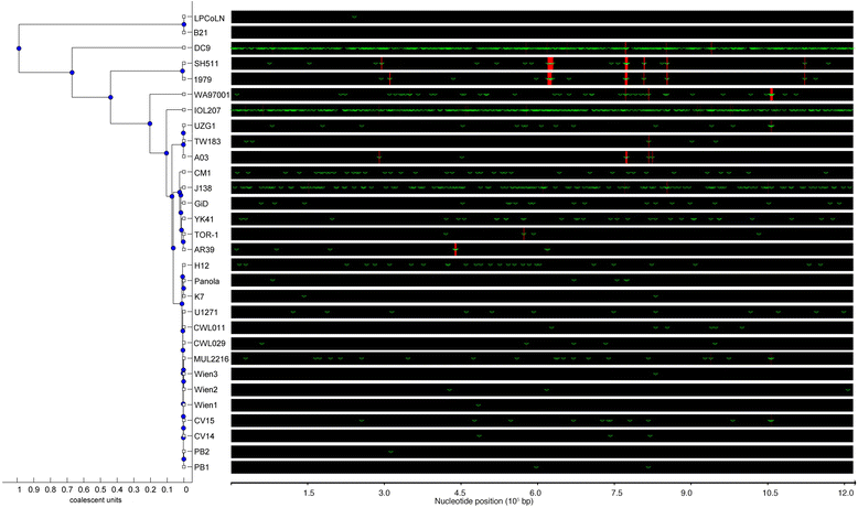 Fig. 6