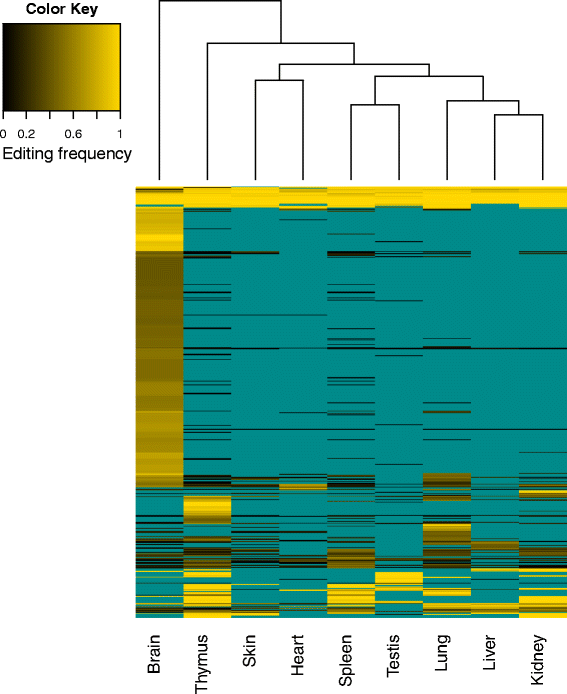 Fig. 5