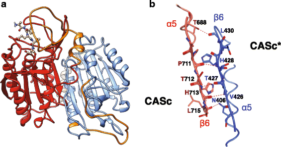 Fig. 9