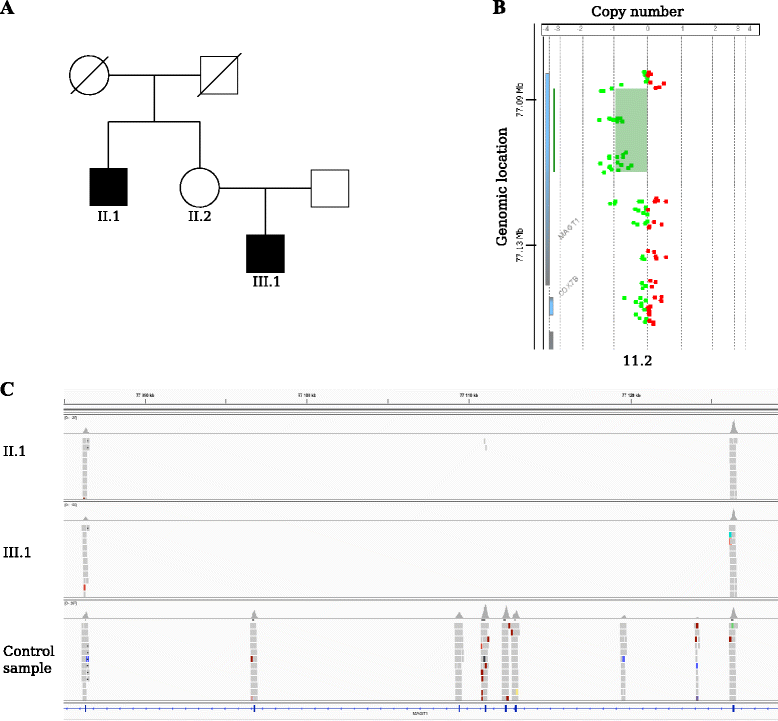 Fig. 4