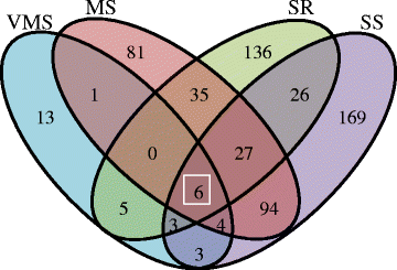 Fig. 6