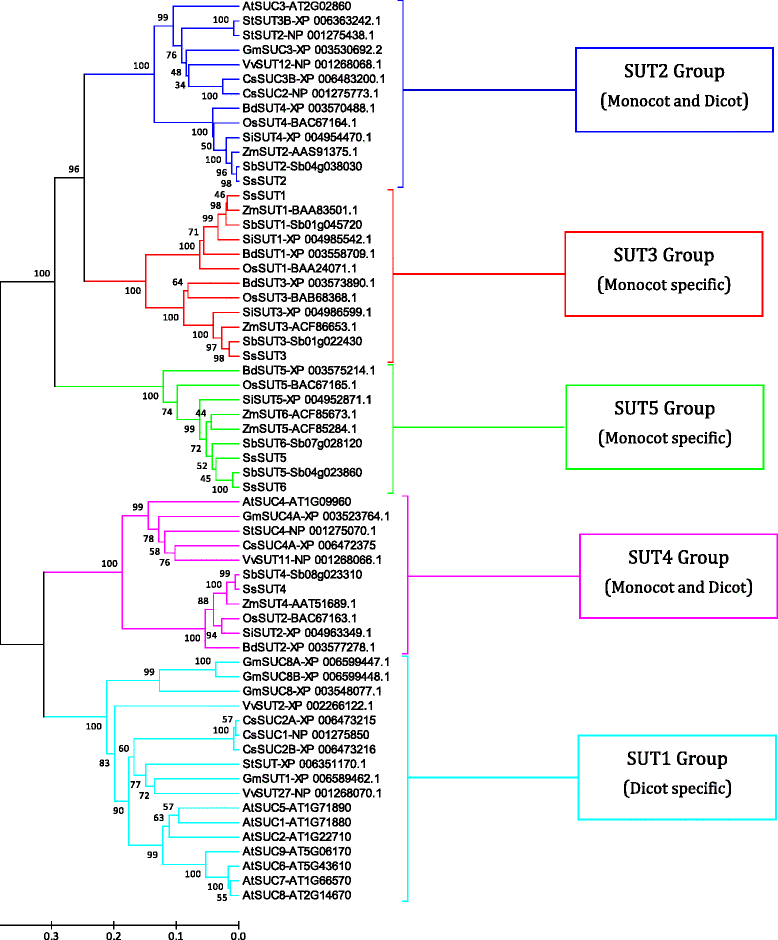 Fig. 5