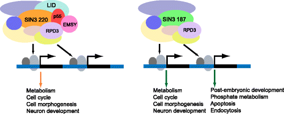 Fig. 7