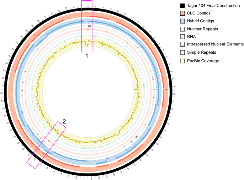 Fig. 3