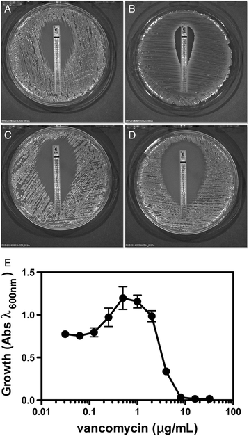 Fig. 8