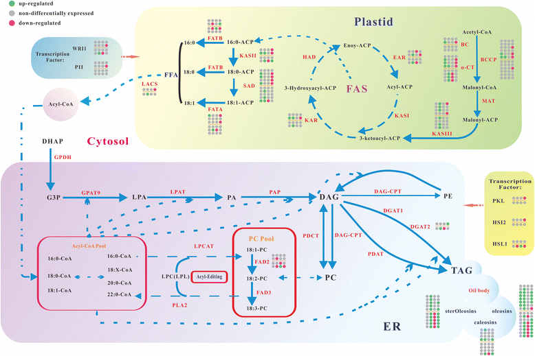 Fig. 6