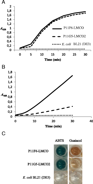 Fig. 6