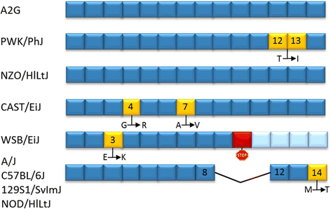 Fig. 16