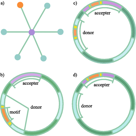 Fig. 1