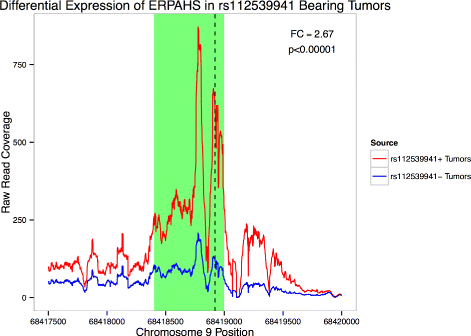 Fig. 13