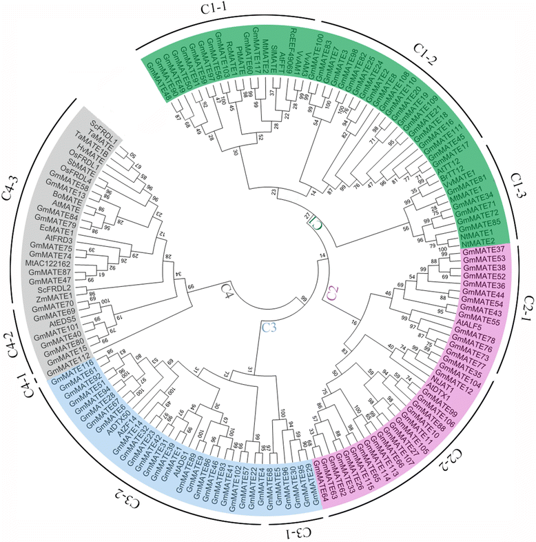 Fig. 2