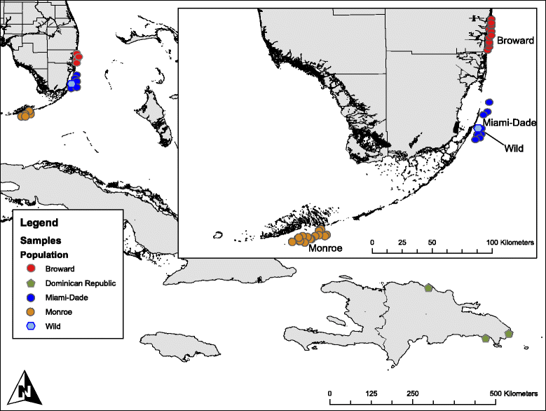 Fig. 1