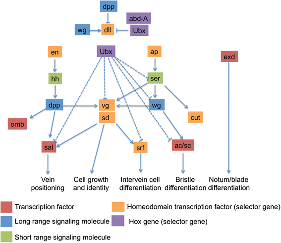 Fig. 1