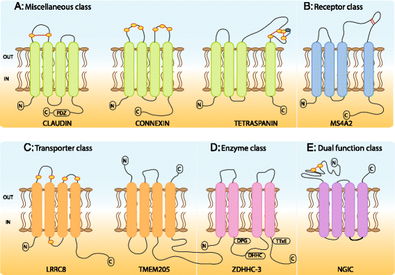 Fig. 8