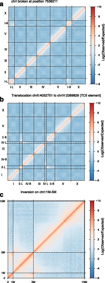 Fig. 5