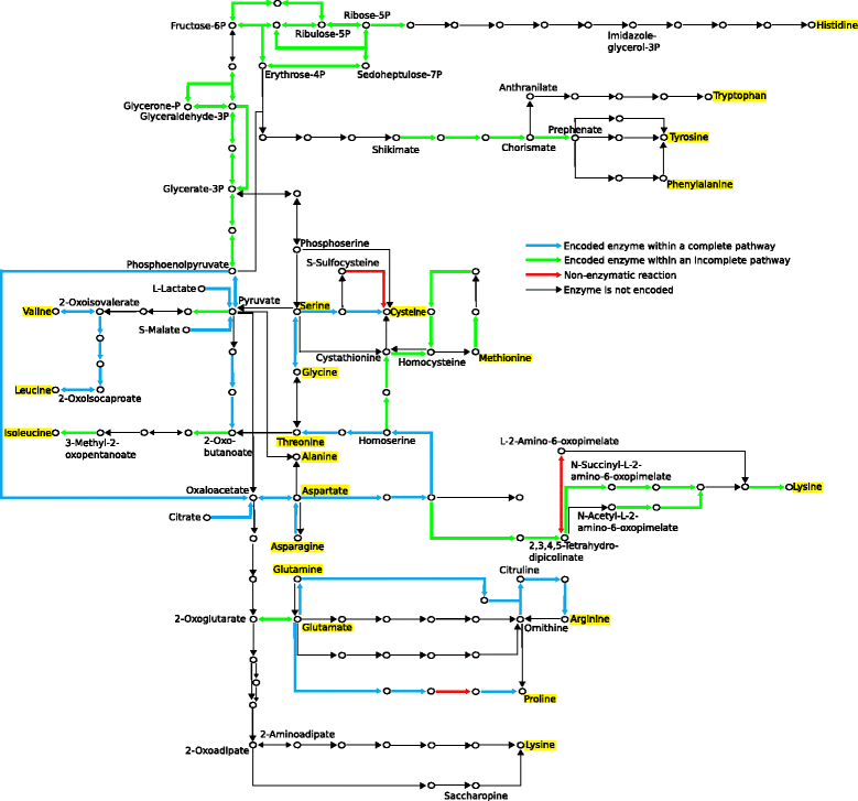 Fig. 5