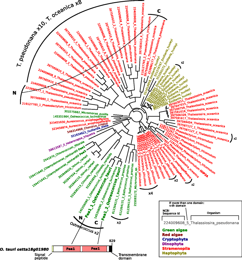 Fig. 4