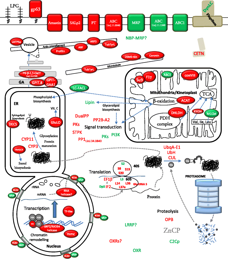 Fig. 4