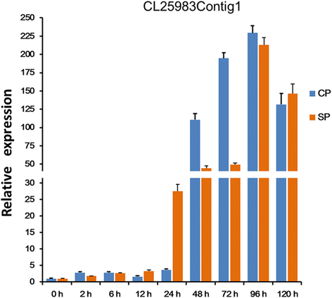 Fig. 12