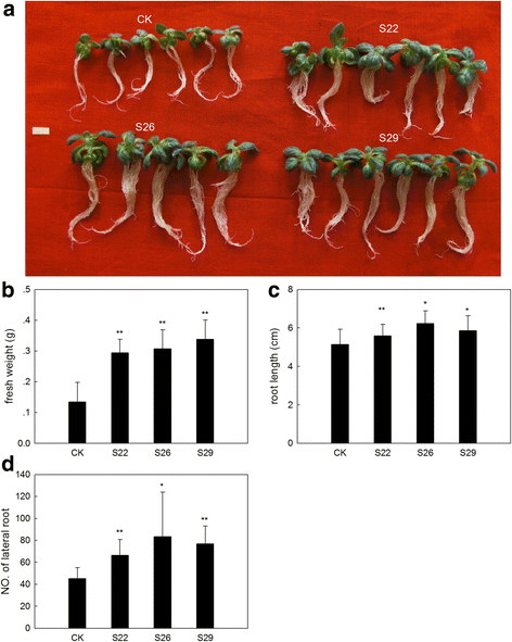 Fig. 9