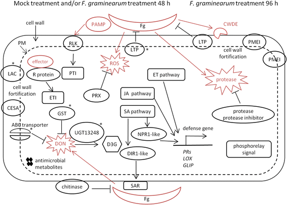 Fig. 6