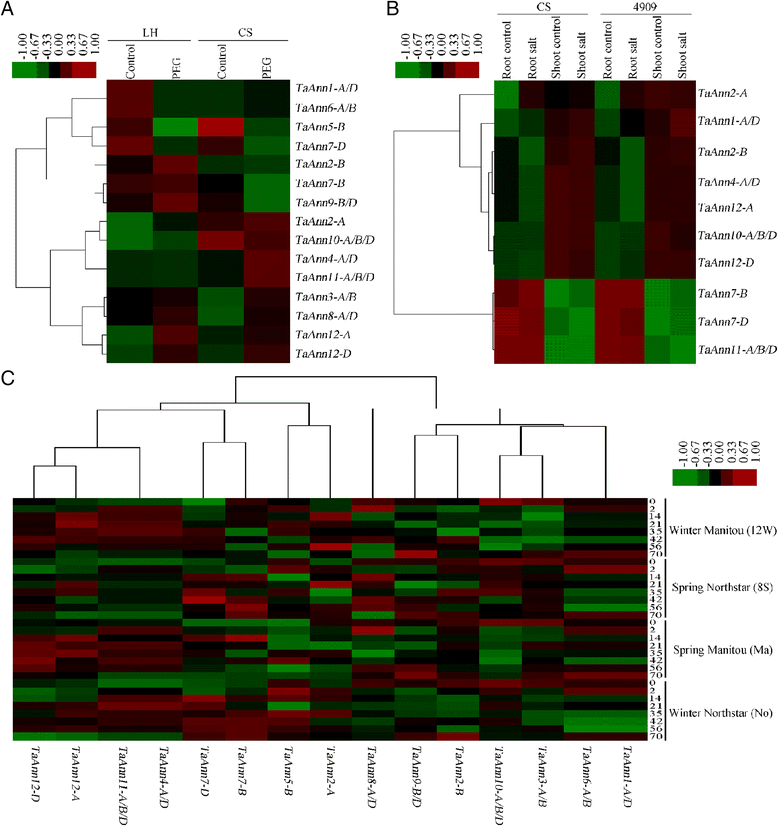 Fig. 4