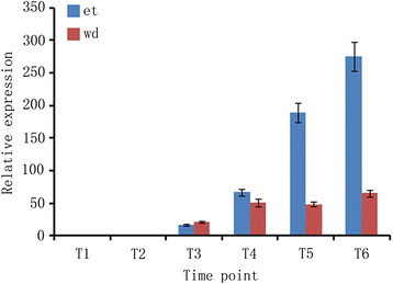 Fig. 6