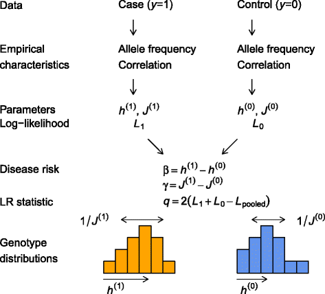 Fig. 1