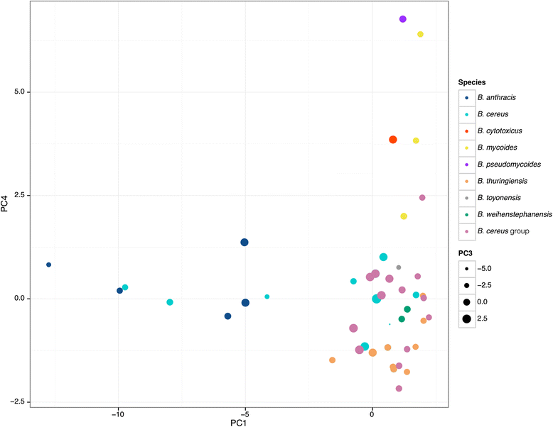 Fig. 3