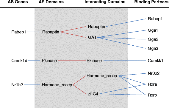 Fig. 5