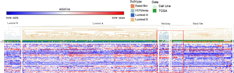 Fig. 10