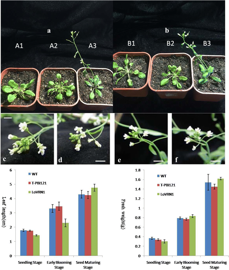 Fig. 11