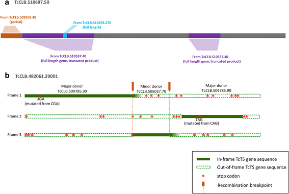 Fig. 7