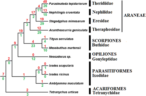 Fig. 5