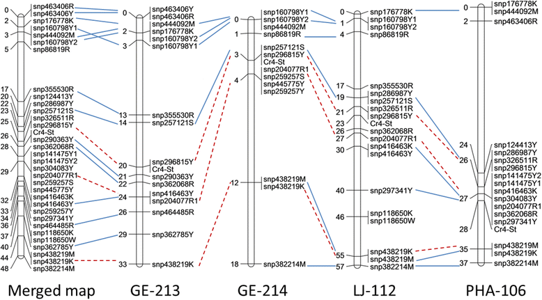 Fig. 4