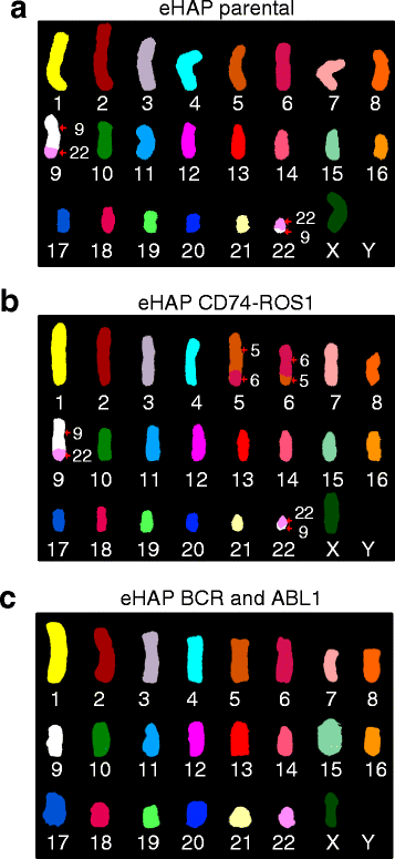 Fig. 4