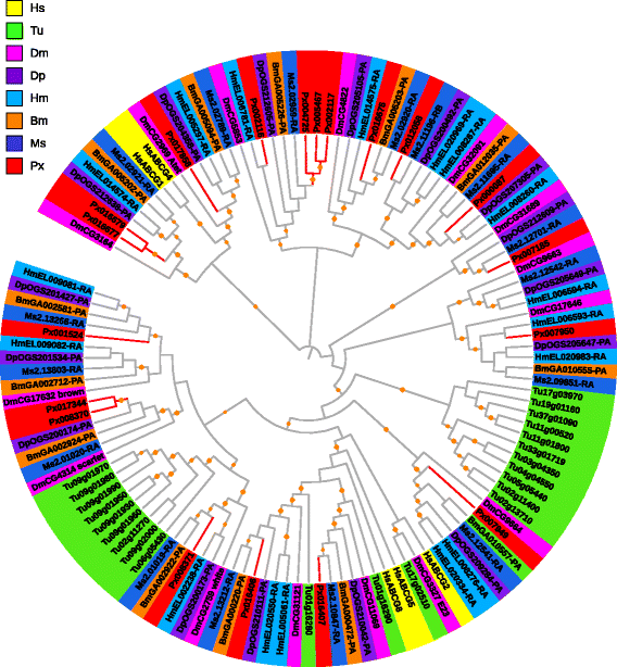 Fig. 7