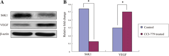 Fig. 13