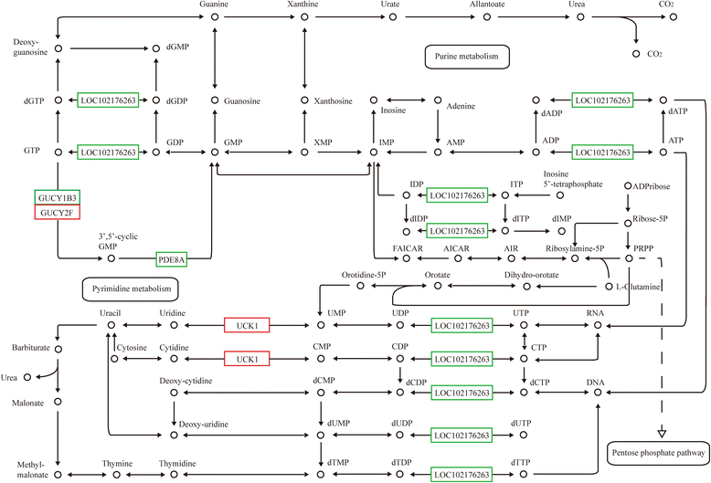 Fig. 9